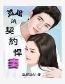 首席的契約悍妻